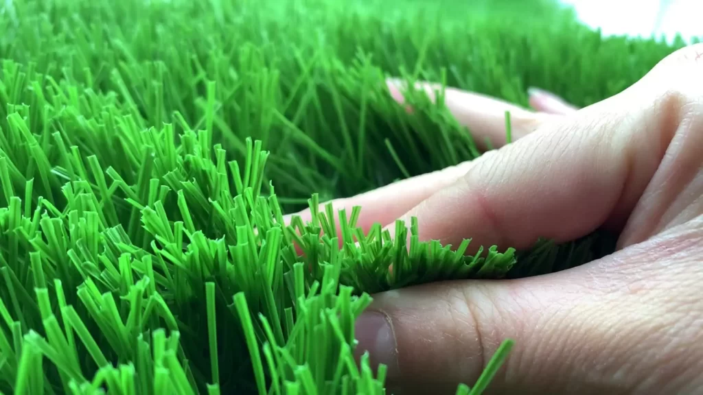 Natural grass for sports fields