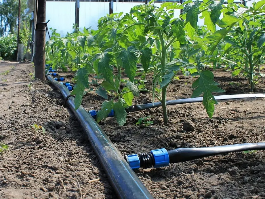 شبكات الري بالفقاعات