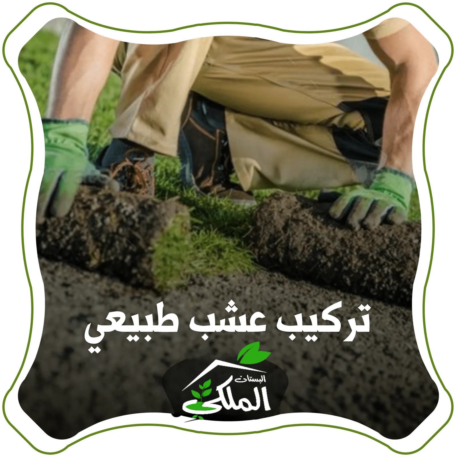 خدمة زراعة عشب طبيعي (ثيل طبيعي )